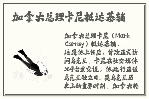 蝶舞app能约到吗
